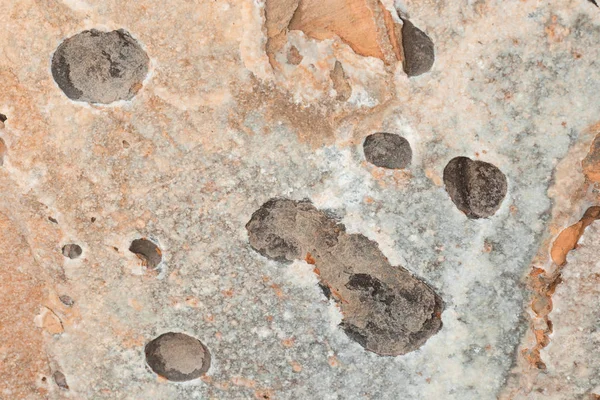 Güzel arka plan doğal taştan yapılmış. Deniz taş dokusuna.