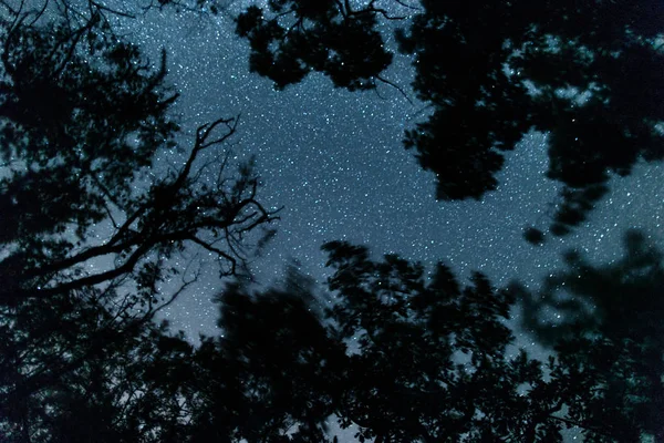 Hermoso paisaje del cielo estrellado con una vía lechosa. Cielo nocturno sobre el mar . — Foto de Stock