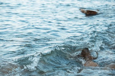 Taş Plajı gün batımında. Dalgalar deniz deniz kenarı.