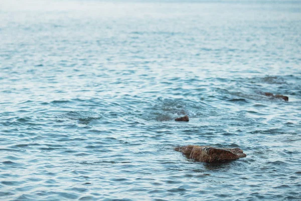 Stone beach napnyugtakor. Tenger hullámai a parton. — Stock Fotó