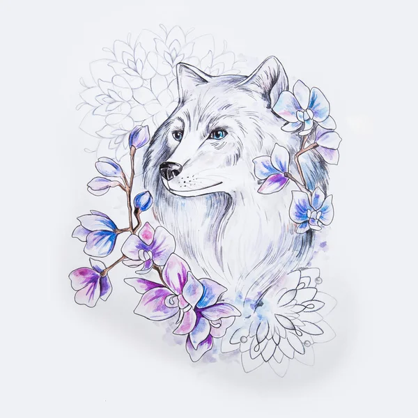 Sketsa serigala yang indah dalam bunga pada latar belakang putih . — Stok Foto