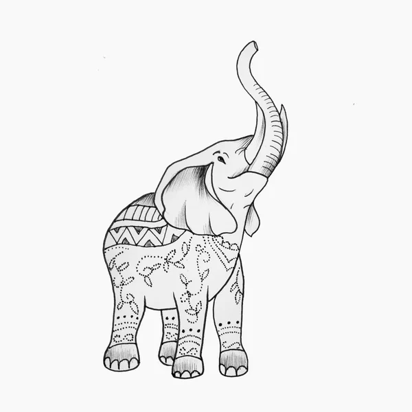 Skizze eines schönen großen Elefanten in Mustern auf weißem Hintergrund. — Stockfoto