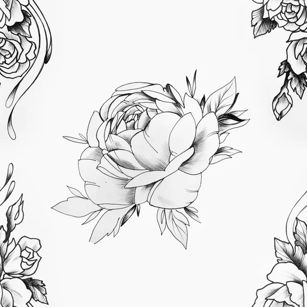 Seamless pattern of a beautiful peony bud on a white background. — Stock Photo, Image