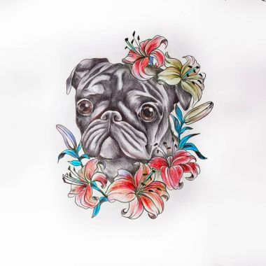 Pug taslağını beyaz bir arka plan üzerinde çıtır