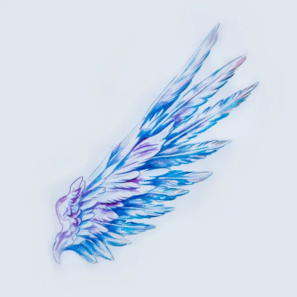 สเก็ตช์ของปีกสีฟ้าที่สวยงามบนพื้นหลังสีขาว . — ภาพถ่ายสต็อก