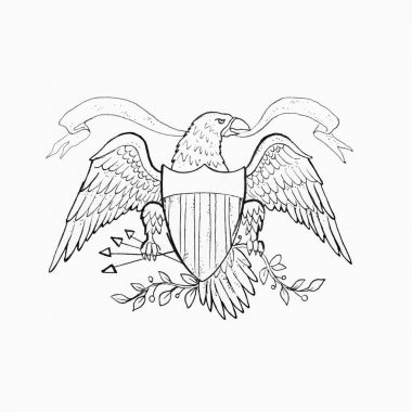 American eagle beyaz arka plan üzerinde taslağını.