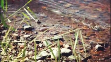 Lake Helgasjon İsveç