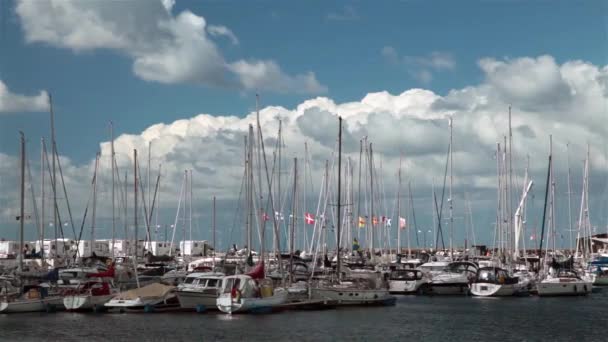 Парусные лодки в гавани — стоковое видео
