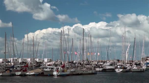 Veleros en el puerto deportivo — Vídeos de Stock