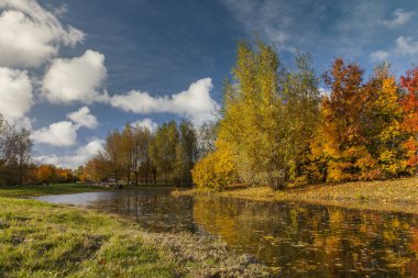 Renkli sonbahar yaprakları