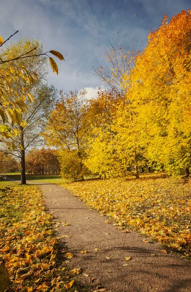在秋天的公园路径 — 图库照片