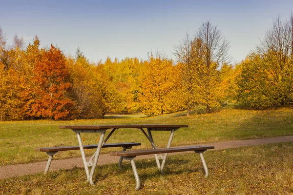 公园的长椅上，在秋天的设置 — 图库照片
