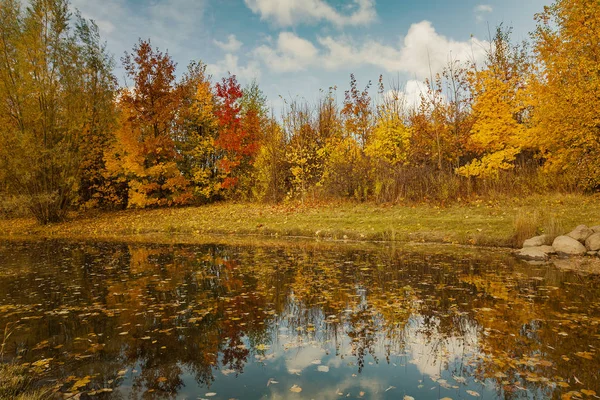 Farbenfrohe Herbstlandschaften — Stockfoto