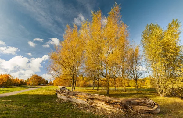 Naturpark im Herbst — Stockfoto