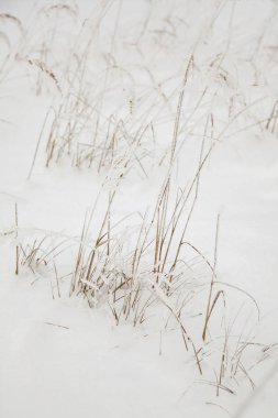 kar üzerinden çimen