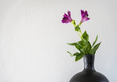 Çiçek vazo kopya alanı ile