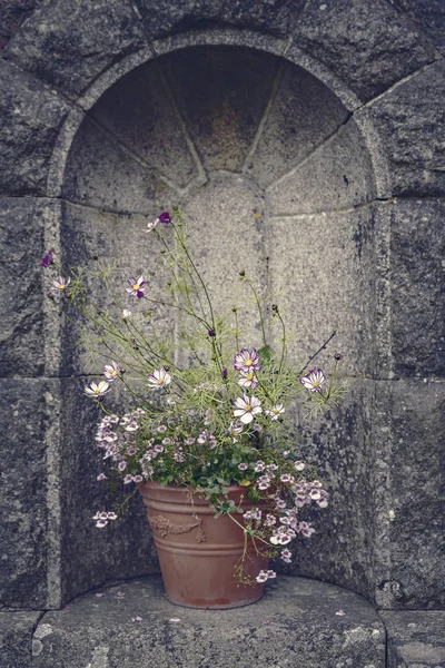 Vintage flower pot in stone alcove — Stock Photo, Image