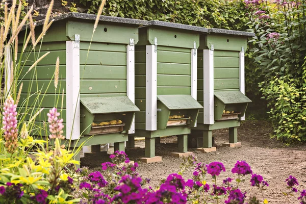 Garten mit Bienenstöcken — Stockfoto