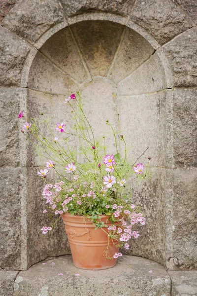 Pote de flor vintage em alcova — Fotografia de Stock