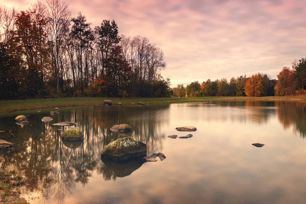 Filborna forest park — Stockfoto