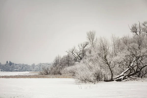 Lake Finja kış manzarası — Stok fotoğraf