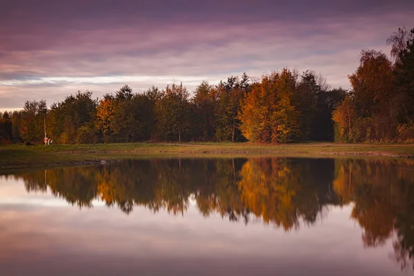 Утренний свет осенью — стоковое фото
