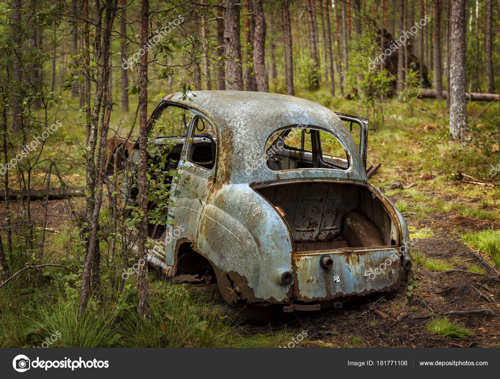 Old Car In Forest Stock Photo Image By C Feferoni
