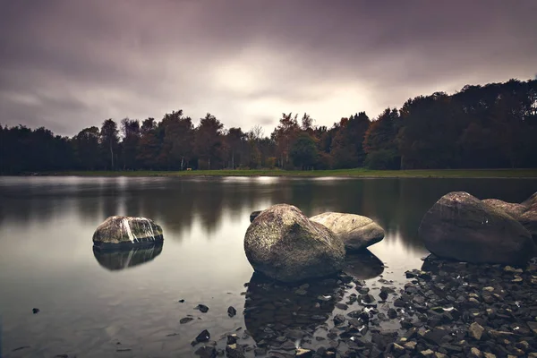 Lago de floresta tranquilo — Fotografia de Stock