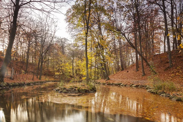 宁静的森林池塘 — 图库照片