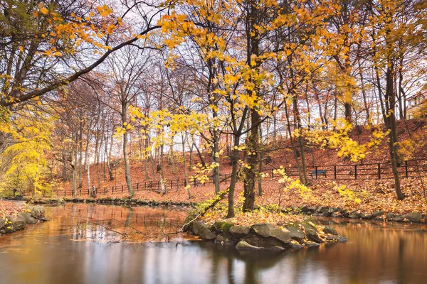 Ruhiger Teich im Herbst — Stockfoto