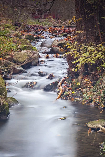 Cascada Creek en el bosque —  Fotos de Stock