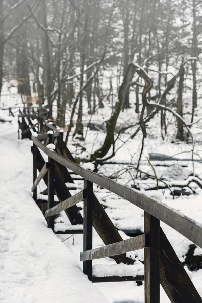 Забор в зимнем парке — стоковое фото