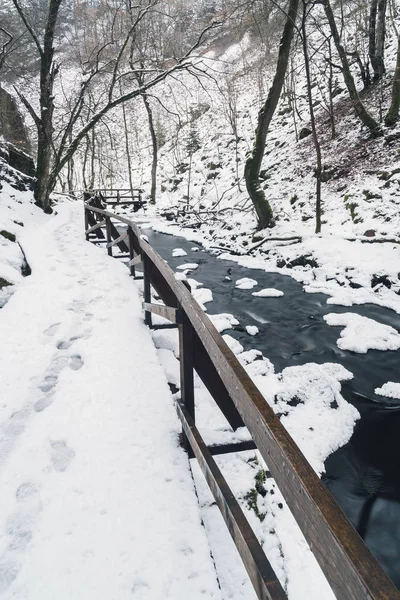 겨울 풍경 스트림 — 스톡 사진