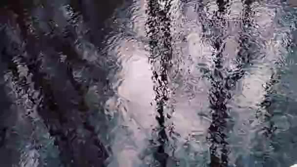 クローズ アップ森池の水 — ストック動画