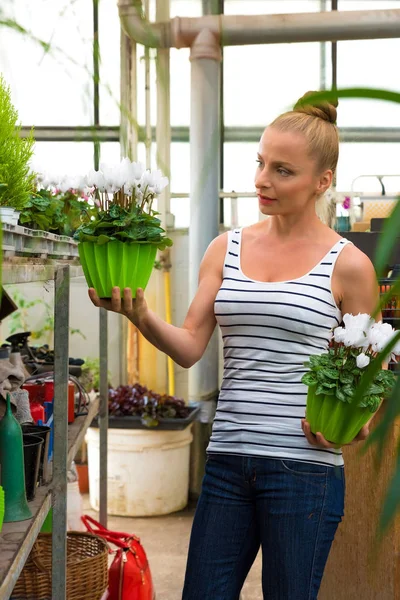 Una mujer que trabaja en una tienda de jardinería —  Fotos de Stock