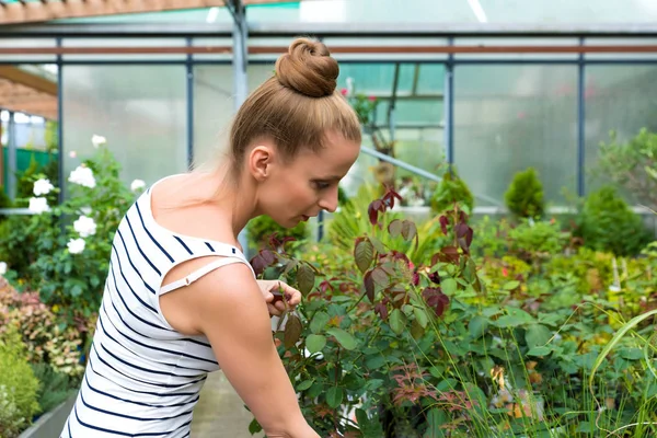 Ung vuxen kvinna trädgårdsskötsel i ett växthus — Stockfoto