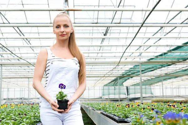 Joven jardinero mujer de pie en un invernadero, sosteniendo una flor —  Fotos de Stock