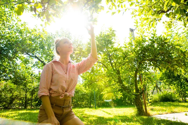 Une jeune femme récolte des pommes biologiques dans son jardin — Photo