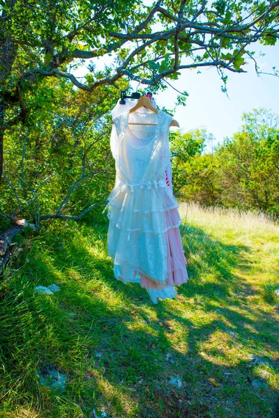 Belos vestidos na árvore — Fotografia de Stock
