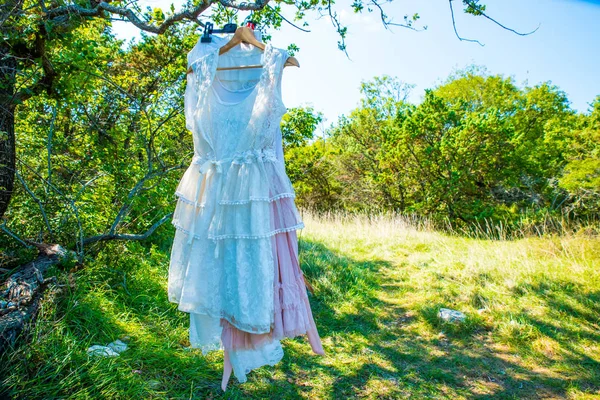 Schöne Kleider am Baum — Stockfoto