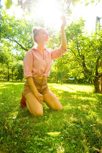 En ung kvinna skörd ekologiska äpplen i sin trädgård — Stockfoto