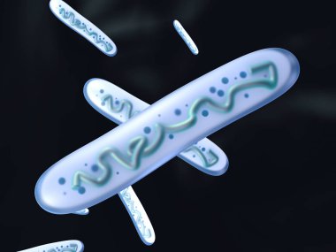 3D rendered Illustration of a Lactobacillus Bacteria clipart