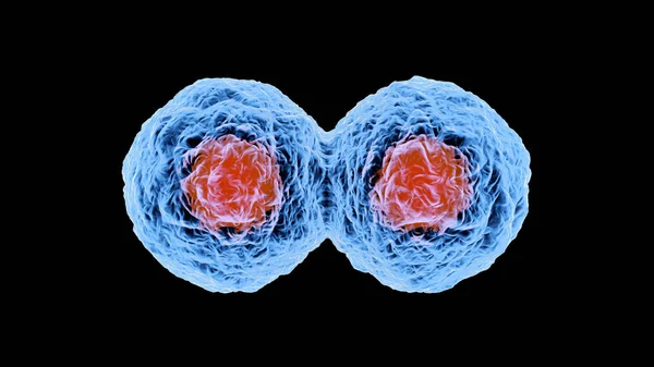 3D utsmält illustration av Cell replikering — Stockfoto