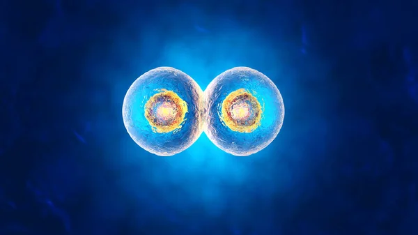 세포 복제의 3d 렌더링 된 그림 — 스톡 사진