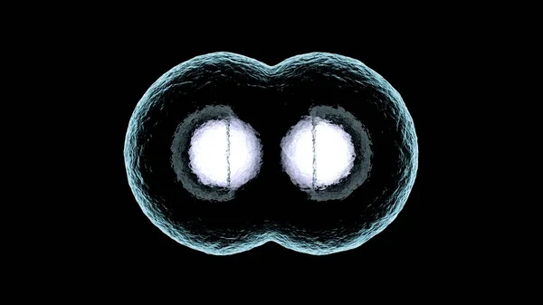 Hücre çoğaltma 3D render çizimi — Stok fotoğraf