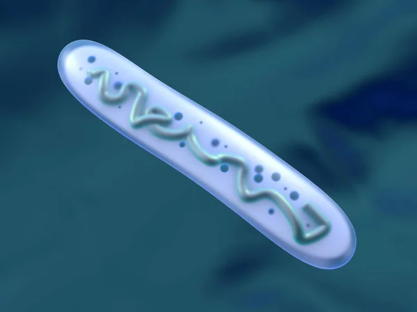 3D-gerenderde afbeelding van een Lactobacillus bacterie — Stockfoto