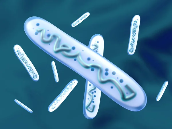 Illustrazione 3D di un Lactobacillus Bacteria — Foto Stock