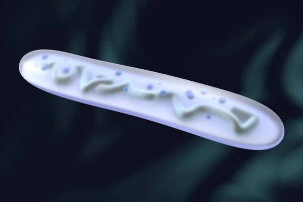 3D wytopione ilustracja bakterii Lactobacillus — Zdjęcie stockowe