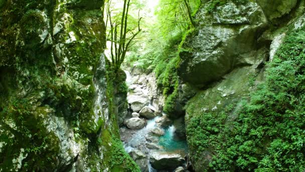 Tekintse Keskeny Sziklás Szurdokok Erdőben Mint Folyó Soca Folyik Szlovéniában — Stock videók