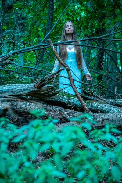 Eine Frau steht und posiert im Wald — Stockfoto